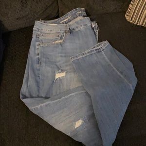 Lot Lane Bryant jeans